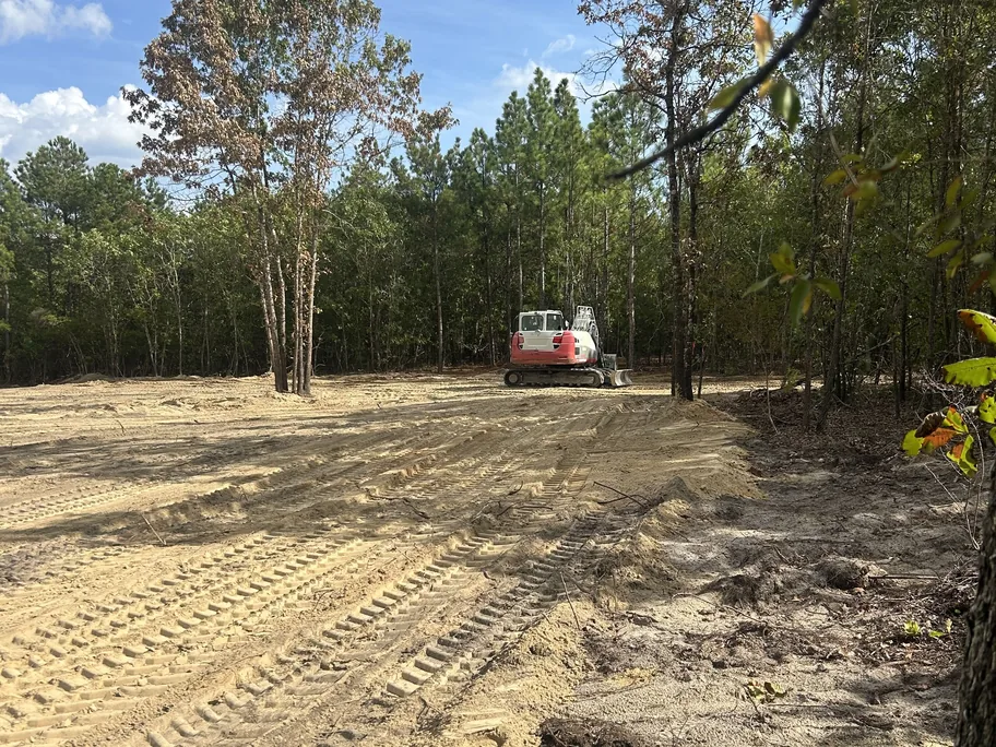 Excavator on cleared ground at the edge of the woods, demolition