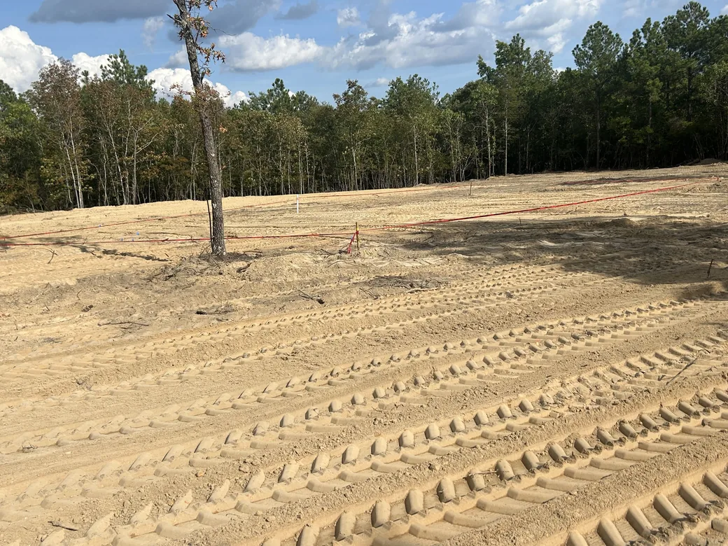 Cleared lot staked with red string lines along the pine tree line, lot clearing